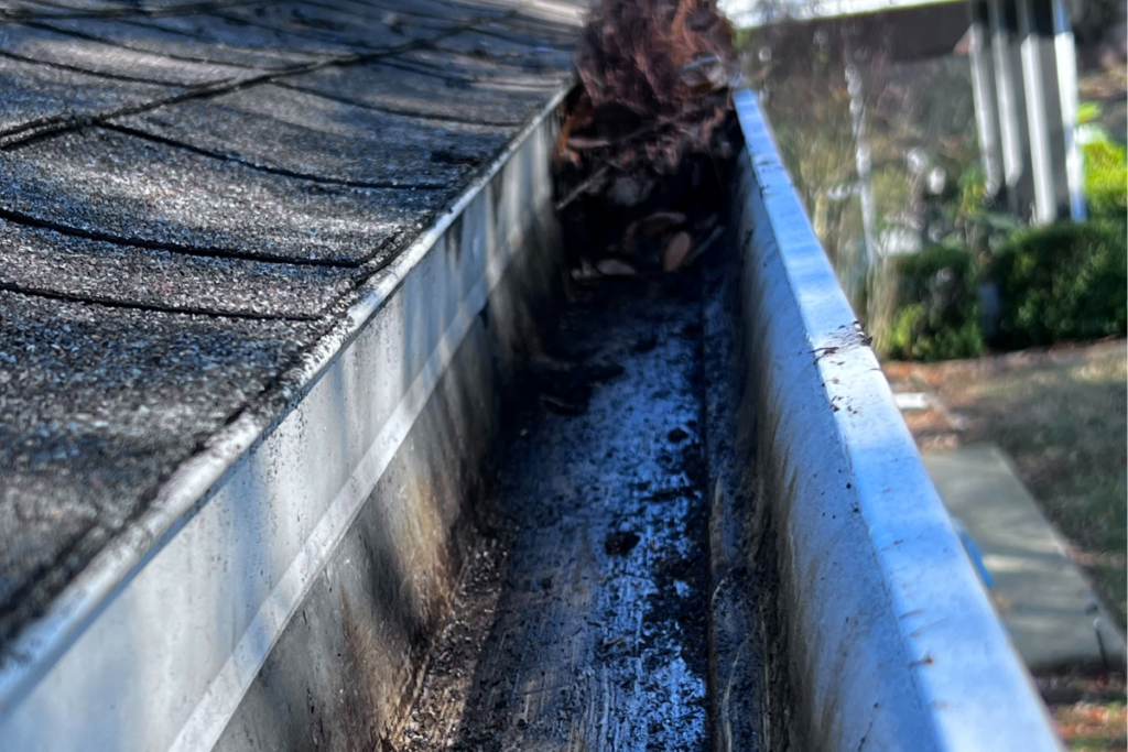 UWS Gutter Cleaning Tampa